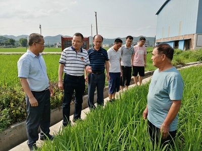 我區啟動全國五星鄉鎮農技推廣機構復核工作，深化農業技術研究與應用