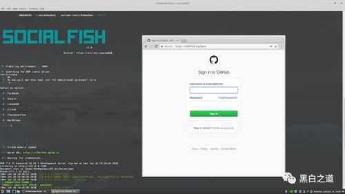 2024版最新最佳黑客工具大全 非常詳細 零基礎(chǔ)入門到精通,收藏這一篇就夠了